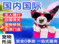 成吉思汗机场快运国际宠物托运 【国